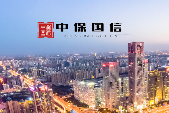 北京中保國信融資擔保有限公司網(wǎng)站改版 