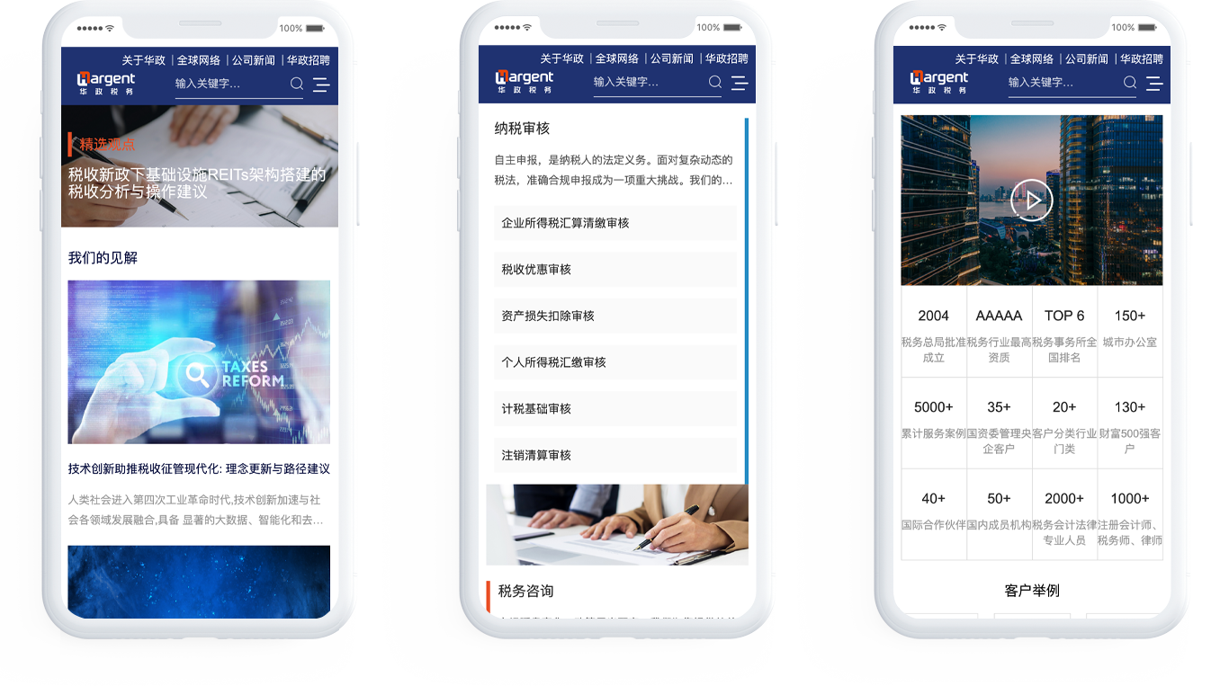 稅務(wù)所網(wǎng)站建設(shè)